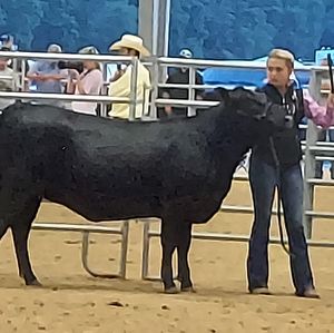 Meet your Posher, Margie